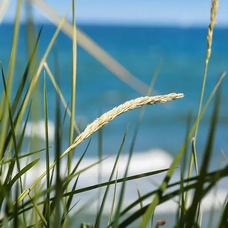 1577-liseleje-hyllingebjergvej-68 Dom wakacyjny *